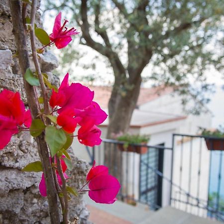 Il Glicine Bed & Breakfast Cetara Exterior photo